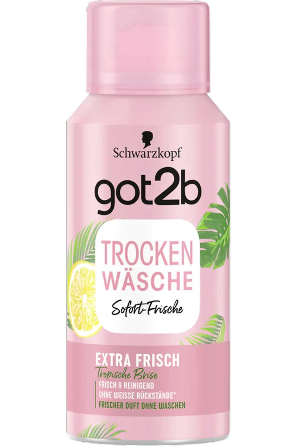 got2b Trockenwäsche Extra Frisch Mini