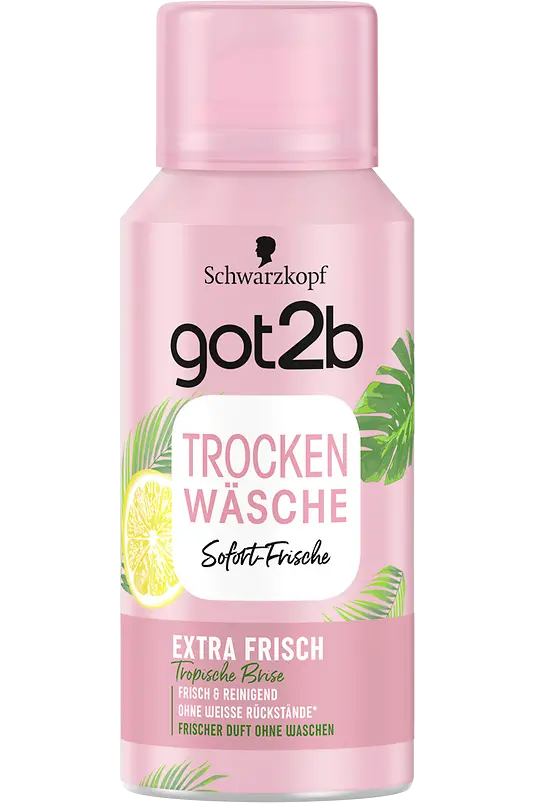 got2b Trockenwäsche Extra Frisch Mini