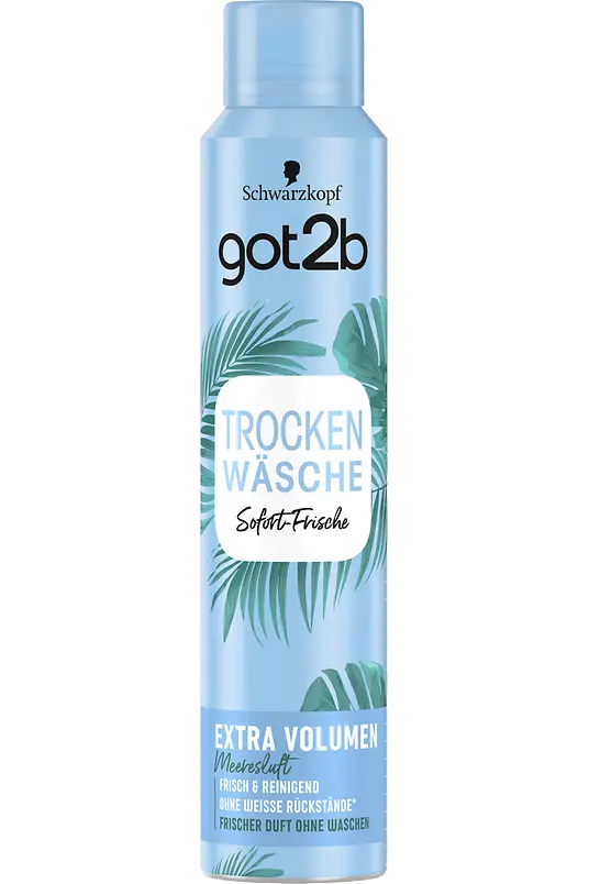 got2b Trockenwäsche Extra Volumen Meeresduft