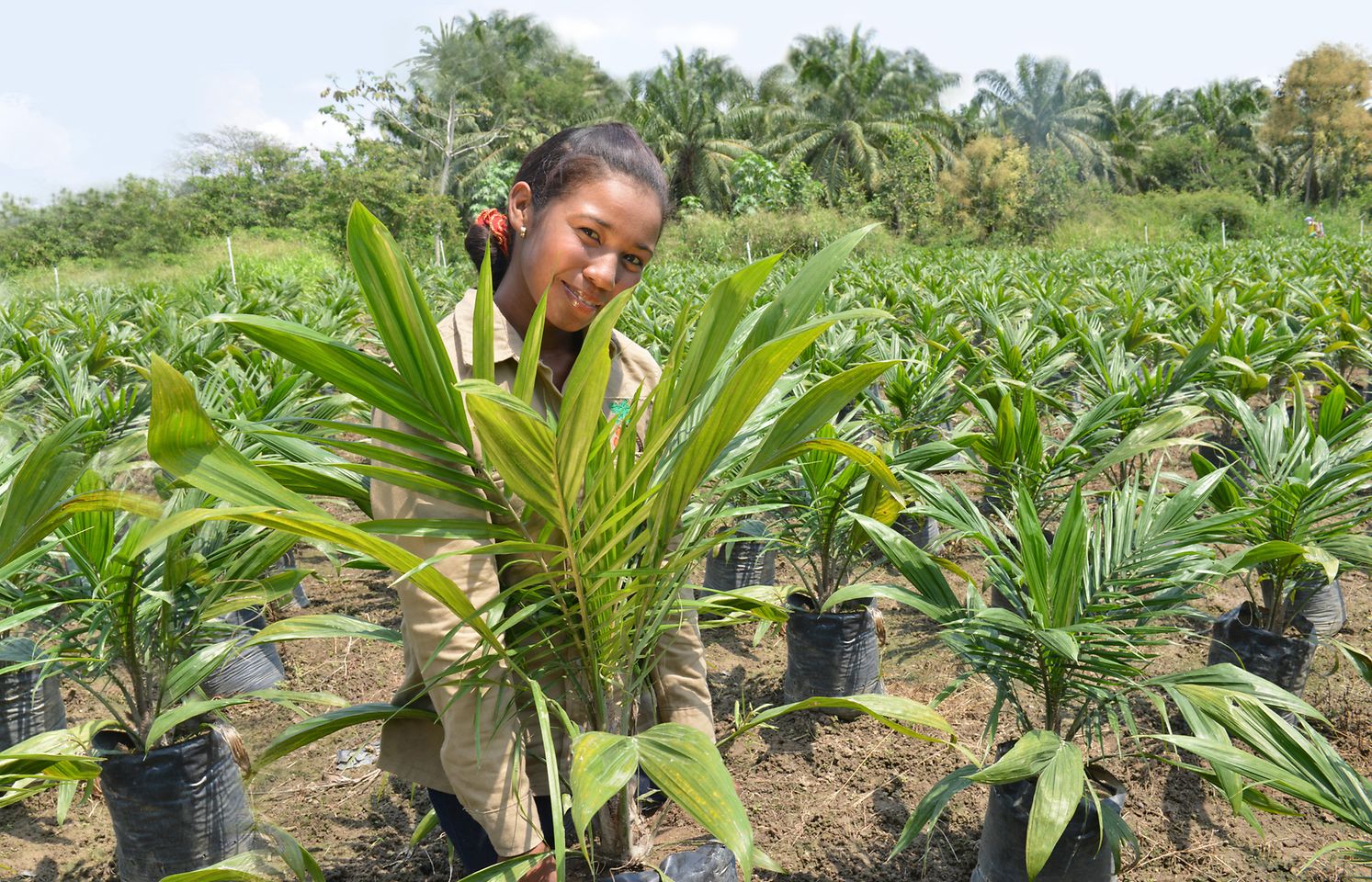 young woman with oil palms