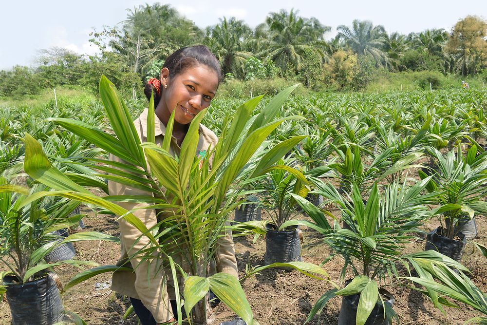 A female palm oil smallholder on a plantation