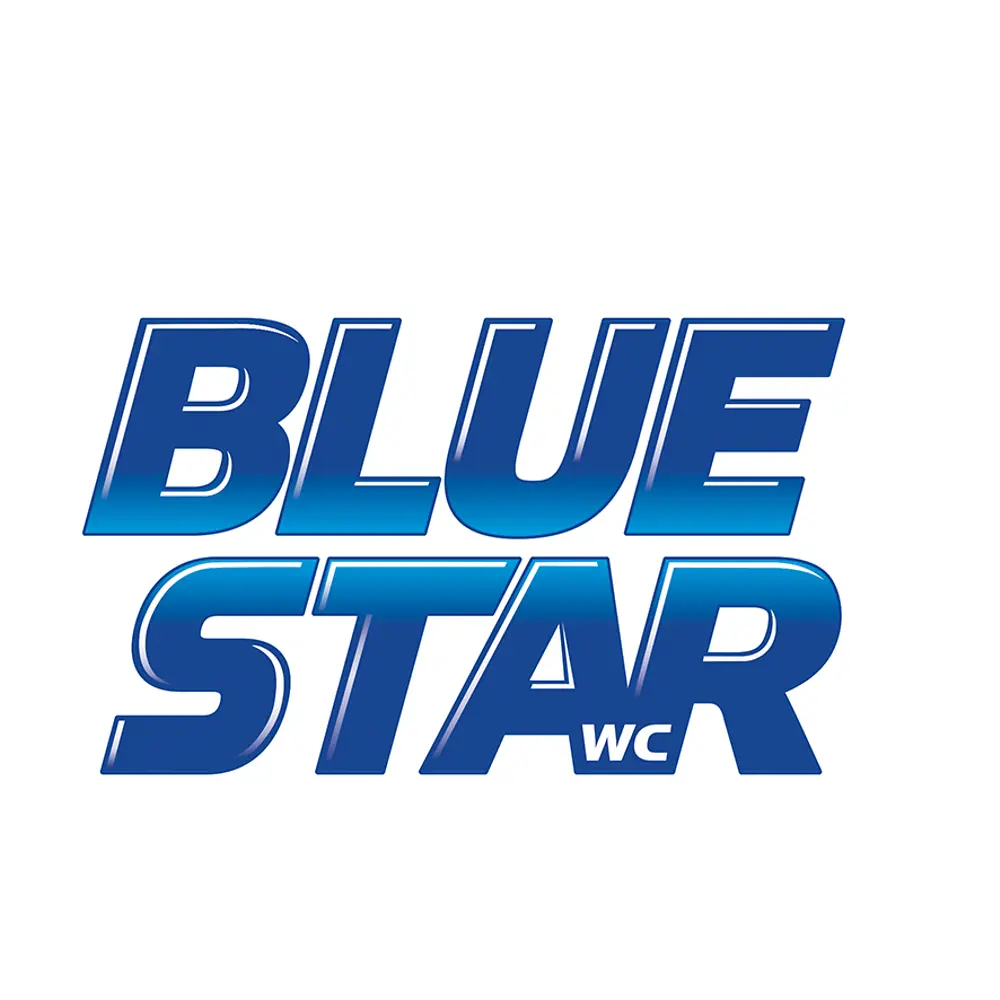 Blue Star Logo