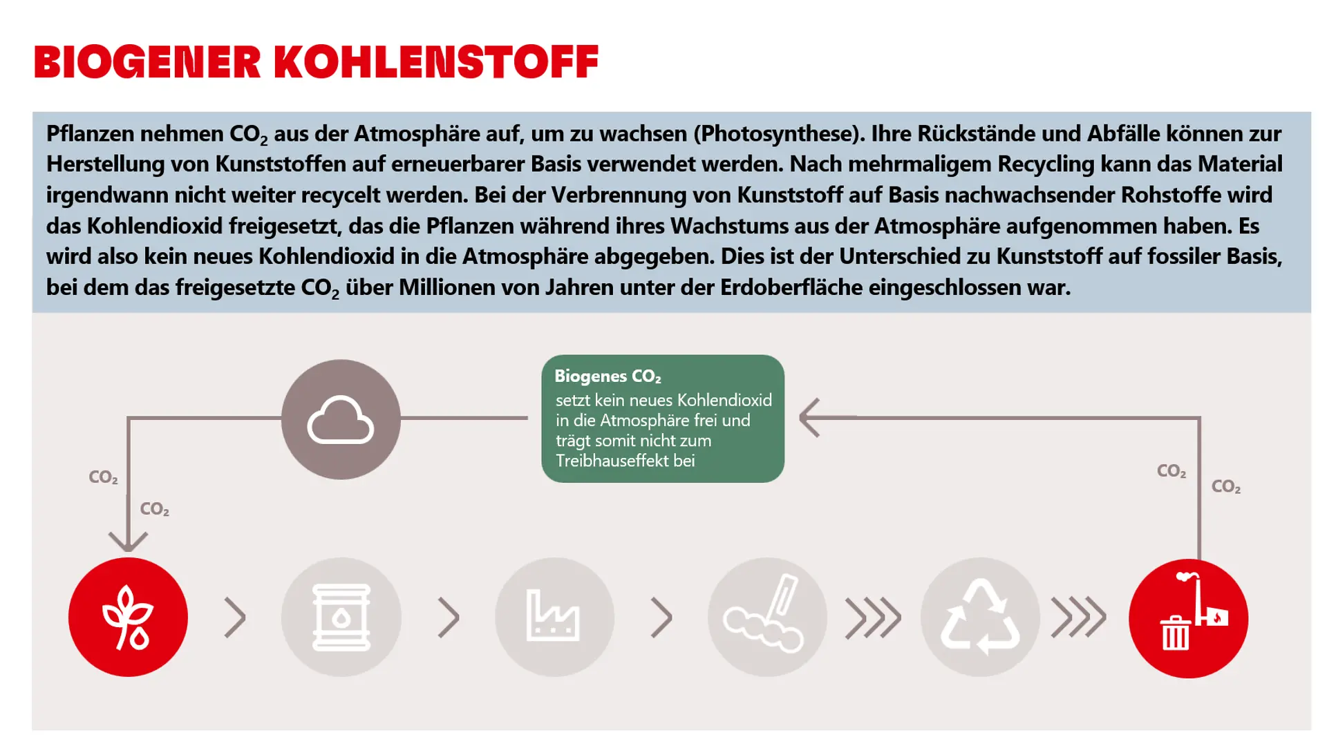 Biogener Kohlenstoff