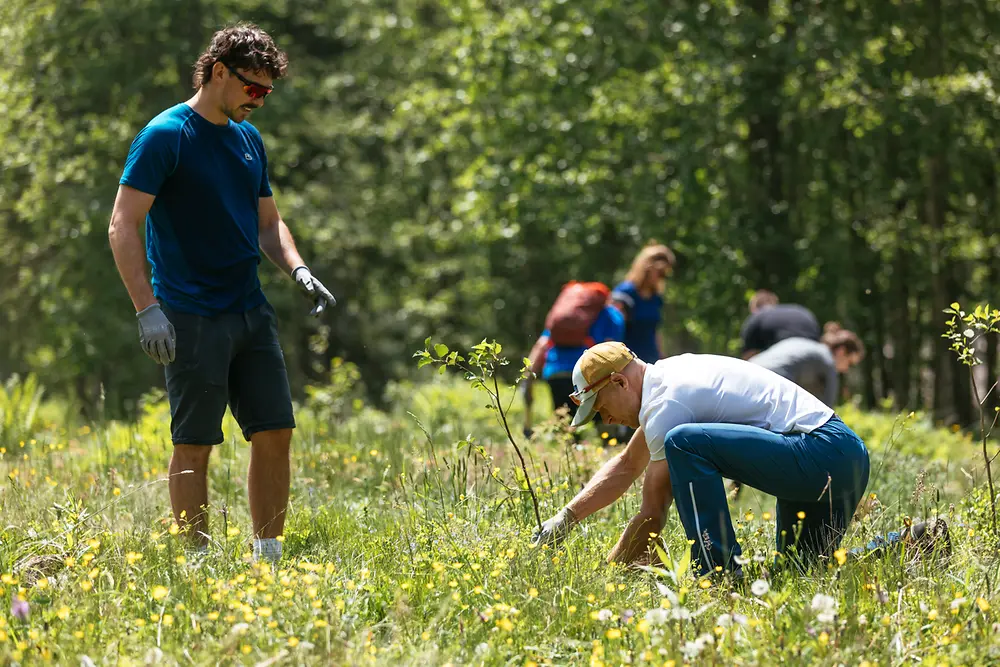 Erfolgreiche Renaturierung des alpinen Auwalds auf der Schwemmalm im Zillertal