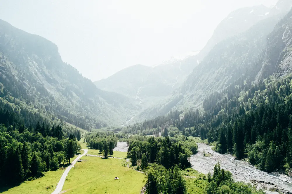 Erfolgreiche Renaturierung des alpinen Auwalds auf der Schwemmalm im Zillertal
