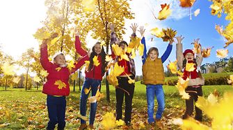Ausgiebige Waldspaziergänge durch bunte Blätter, im Matsch toben mit den Kindern und hinterher ein heißer Tee zur Entspannung – der Herbst steht vor der Tür und mit ihm eine ganze Reihe voller typischer Fleckengefahren. Wir zeigen Ihnen die besten Tipps zum Fleckenentfernen.