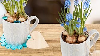 Bunte Blumenideen