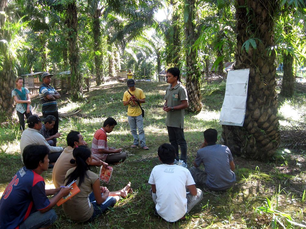 

Im Rahmen eines Projekts in Indonesien findet ein Training mit Kleinbauern in West Kalimantan statt.